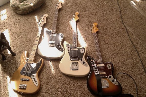 Collection
