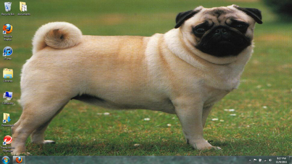 pug pug pug pug