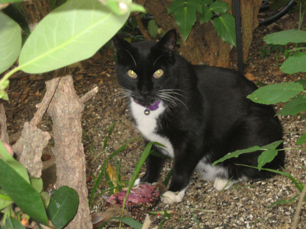 I have more of these.