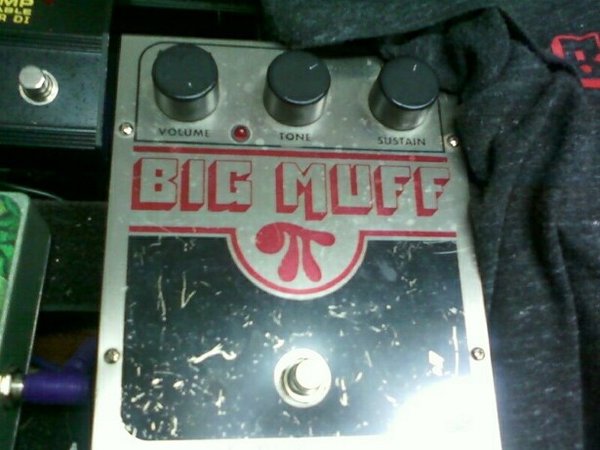 Muff NYC.jpg