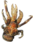 :crab: