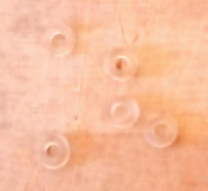 alvarez 1.jpg (45.8 KiB) Viewed 8409 times the rings