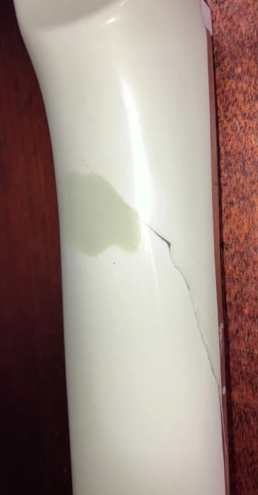 jetstar neck sized.jpg