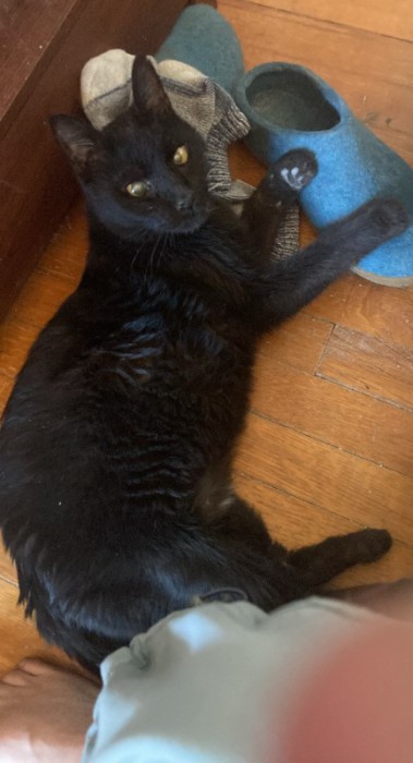 Otis.jpg (71.43 KiB) Viewed 34963 times Otis.